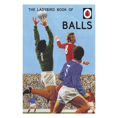 The Ladybird Book of Balls - Joel Morris