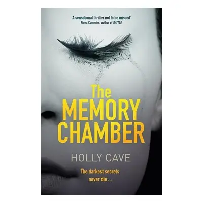 The Memory Chamber - Holly Cave