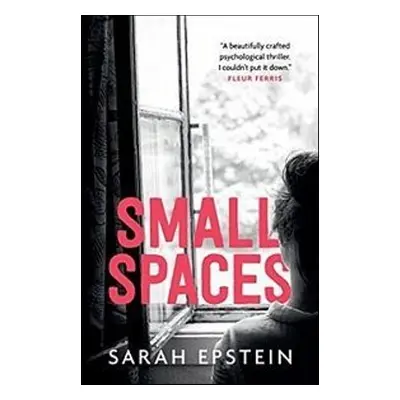 Small Spaces - Sarah Epstein