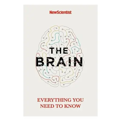 The Brain - Scientist New