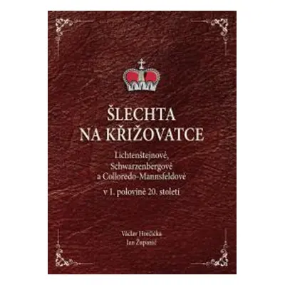 Šlechta na křižovatce - Jan Županič