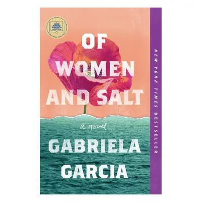 Of Women and Salt - Gabriela Garcia