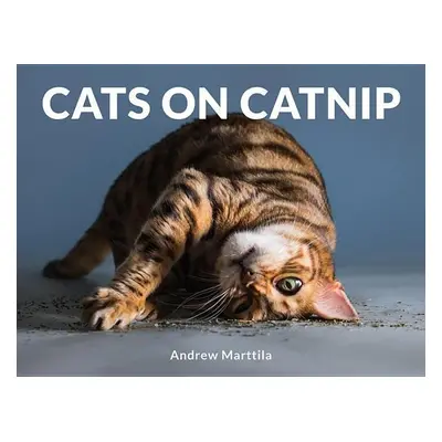 Cats on Catnip - Andrew Marttila