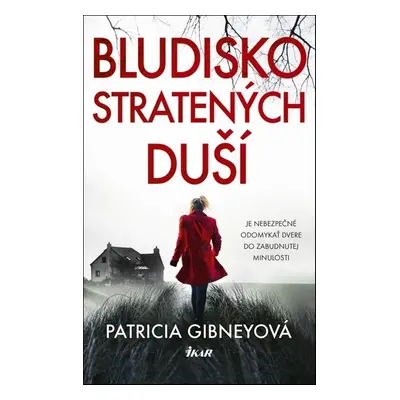 Bludisko stratených duší - Patricia Gibney