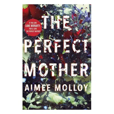 The Perfect Mother - Aimee Molloy