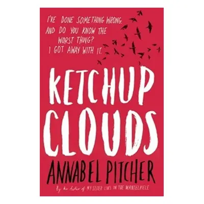 Ketchup Clouds - Annabel Pitcher