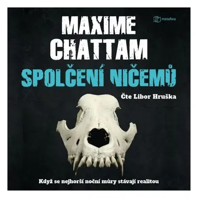 Spolčení ničemů - Maxime Chattam