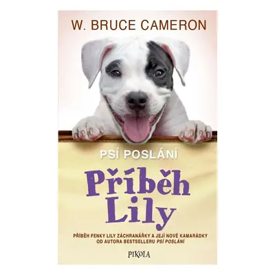 Příběh Lily - Bruce Cameron