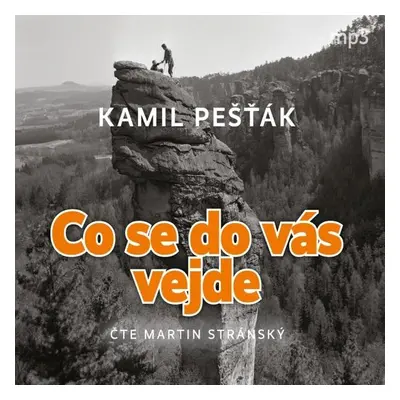 Co se do vás vejde - Kamil Pešťák