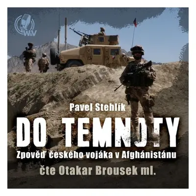 Do temnoty - Pavel Stehlík