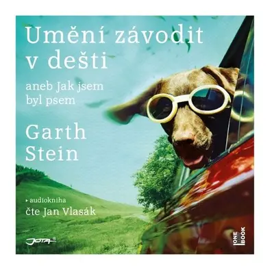 Umění závodit v dešti - Garth Stein