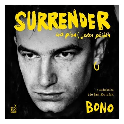 Surrender: 40 písní, jeden příběh - Bono