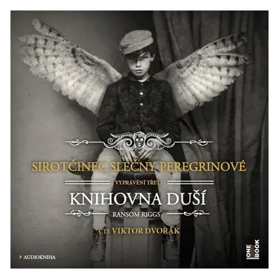 Sirotčinec slečny Peregrinové: Knihovna duší - Ransom Riggs