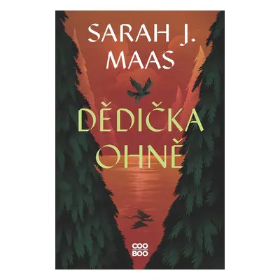 Dědička ohně - Sarah J. Maas