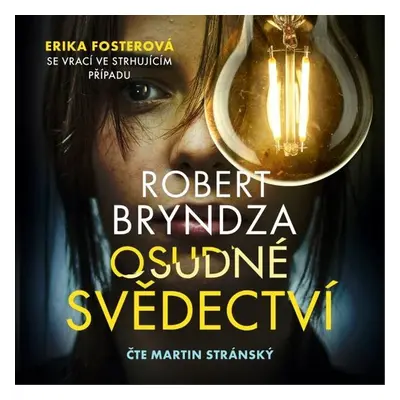 Osudné svědectví - Robert Bryndza