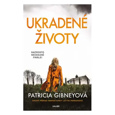 Ukradené životy - Patricia Gibney