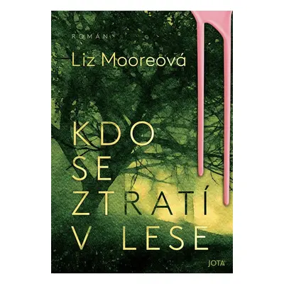 Kdo se ztratí v lese - Liz Moore