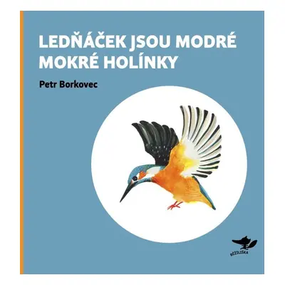 Lednáček jsou modré mokré holínky - Petr Borkovec