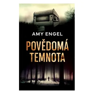 Povědomá temnota - Amy Engel