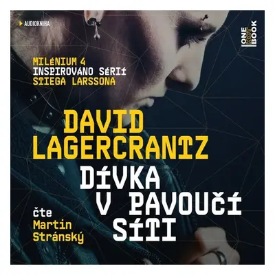 Dívka v pavoučí síti - David Lagercrantz