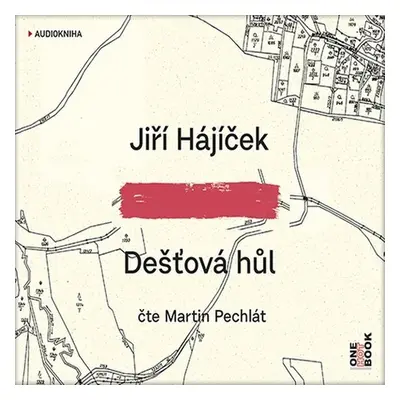 Dešťová hůl - Jiří Hájíček