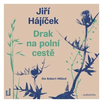 Drak na polní cestě - Jiří Hájíček