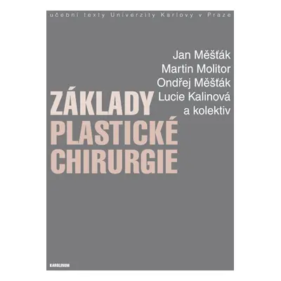 Základy plastické chirurgie - Martin Molitor