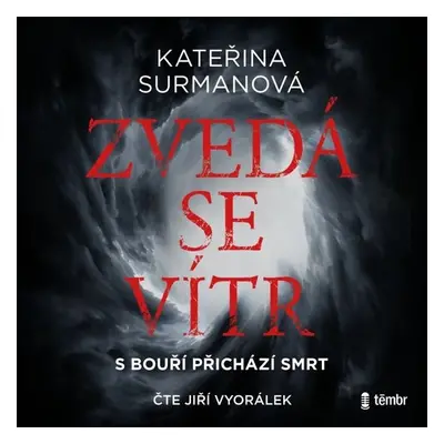 Zvedá se vítr - Kateřina Surmanová