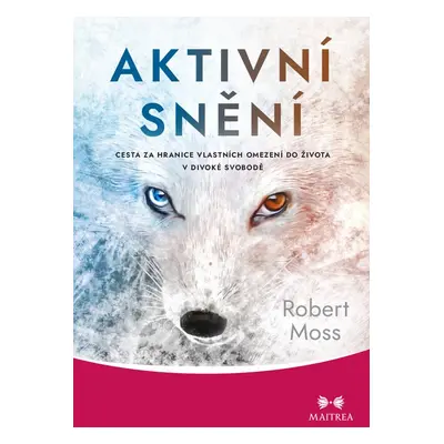 Aktivní snění - Robert Moss