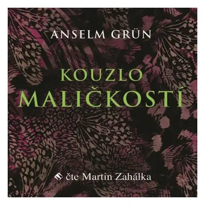 Kouzlo maličkostí - Anselm Grün