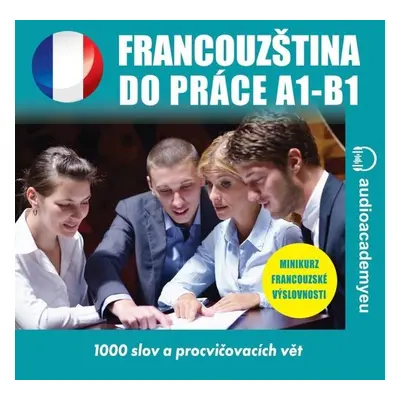 Francouzština do práce A1-B1 - Tomáš Dvořáček