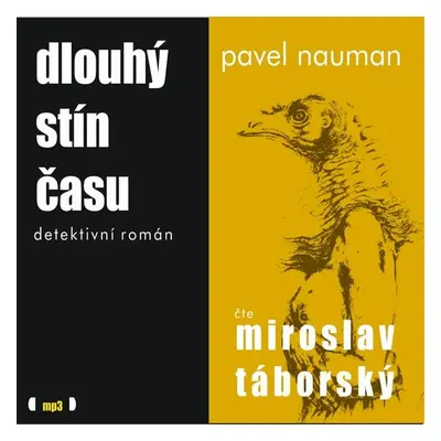 Dlouhý stín času - Pavel Nauman