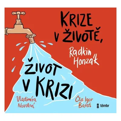 Krize v životě, život v krizi - Radkin Honzák