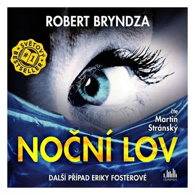 Noční lov - Robert Bryndza