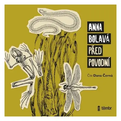 Před povodní - Anna Bolavá