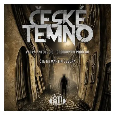 České temno - Kristina Haidingerová