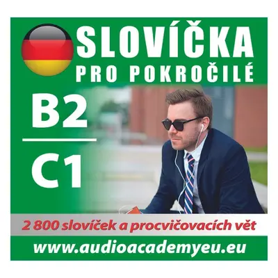 Němčina - slovíčka B2/C1 - kolektiv autorů