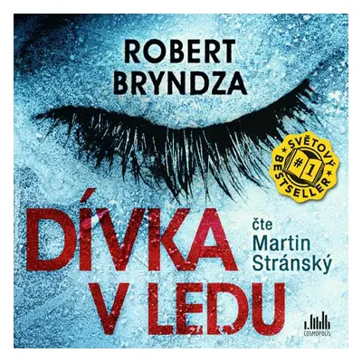 Dívka v ledu - Robert Bryndza