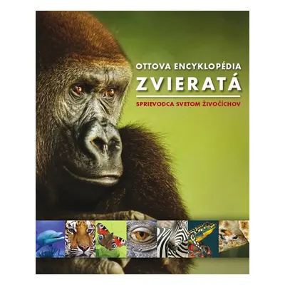 Ottova encyklopédia Zvieratá - Autor Neuveden