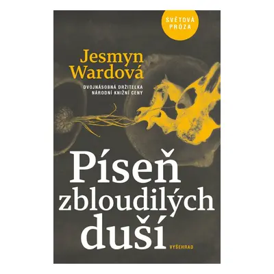 Píseň zbloudilých duší - Jesmyn Wardová