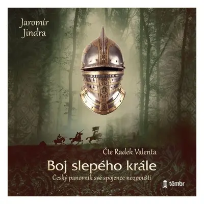 Boj slepého krále - Jaromír Jindra