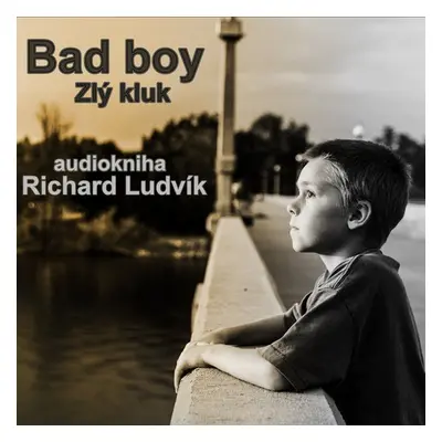 Bad Boy - Richard Ludvík