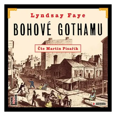 Bohové Gothamu - Lyndsay Fayeová