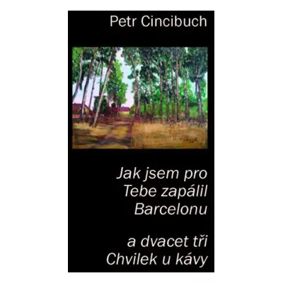 Jak jsem pro tebe zapálil Barcelonu - Petr Cincibuch