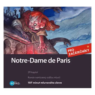 Notre-Dame de Paris - Lucie Přikrylová