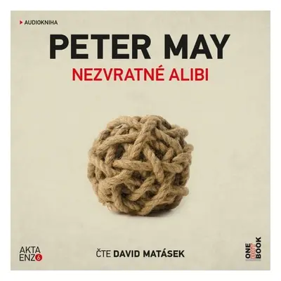 Nezvratné alibi - Peter May