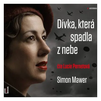 Dívka, která spadla z nebe - Simon Mawer