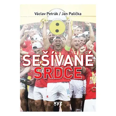 Sešívané srdce - Jan Palička