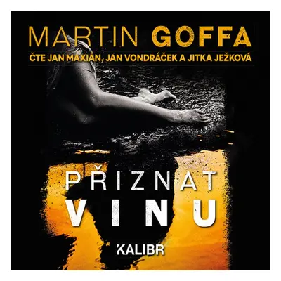 Přiznat vinu - Goffa Martin