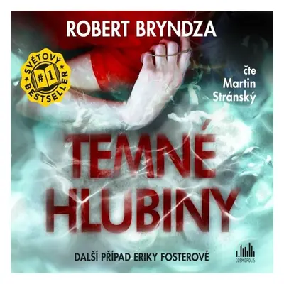 Temné hlubiny - Robert Bryndza